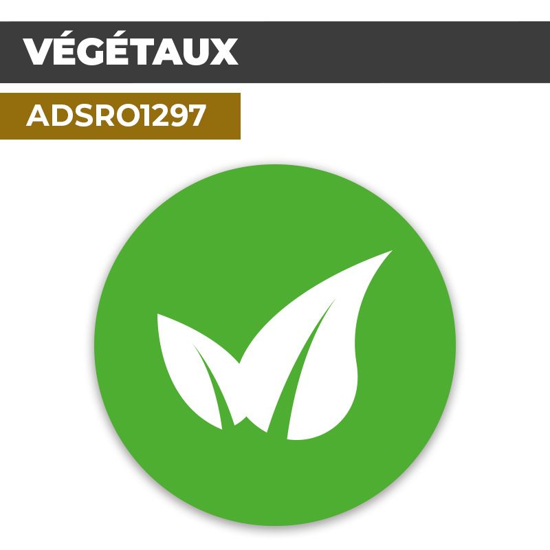 Autocollant | VEGETAUX Fond Vert | Format Rond