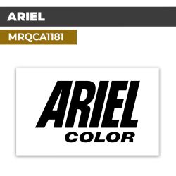 Autocollant ARIEL COLOR | Stickers Logo Vintage Lessive | MRQCA1181