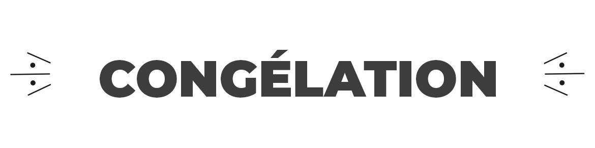 Autocollants Congélation – Signalétique Thématique pour Produits Surgelés