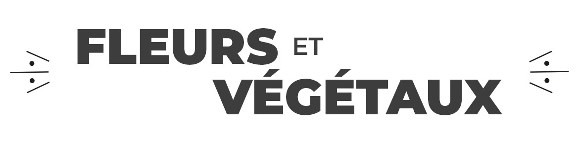Stickers Fleurs et Végétaux – Autocollants Décoratifs Colorés